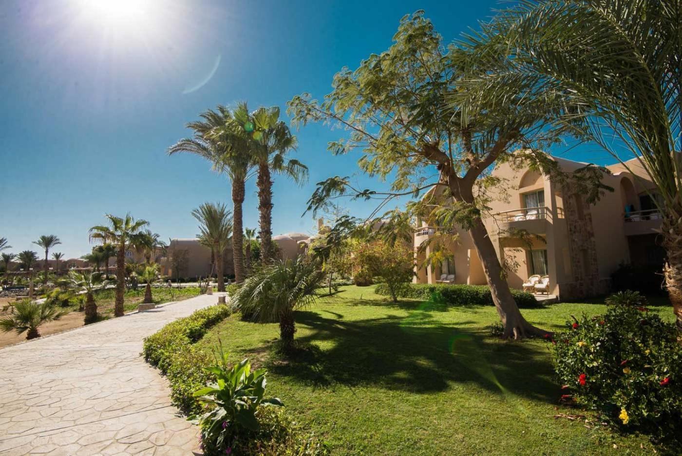 Shams Alam Beach Resort Abū Ghuşūn Εξωτερικό φωτογραφία